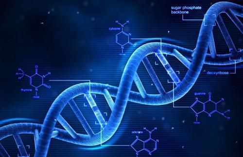 克隆技術 從喧囂到沉寂，科學家的解答揭示深層原因